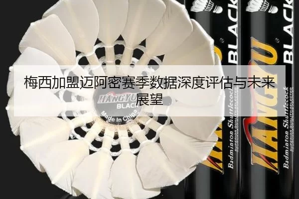 梅西加盟迈阿密赛季数据深度评估与未来展望
