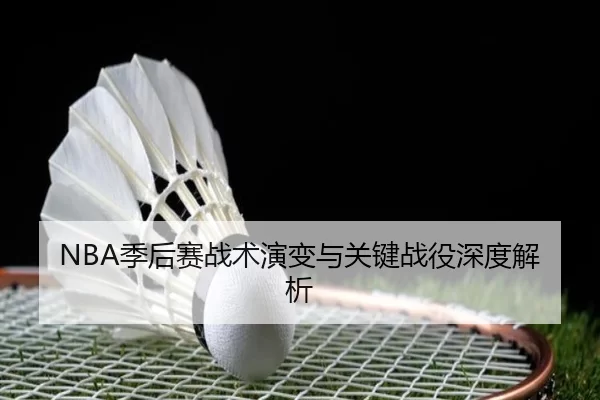 NBA季后赛战术演变与关键战役深度解析