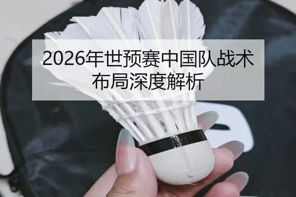 2026年世预赛中国队战术布局深度解析