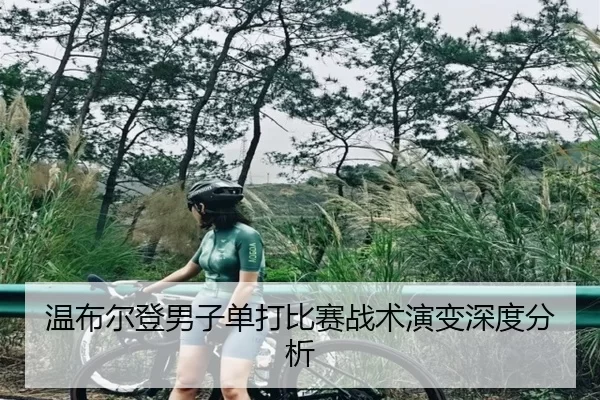 温布尔登男子单打比赛战术演变深度分析
